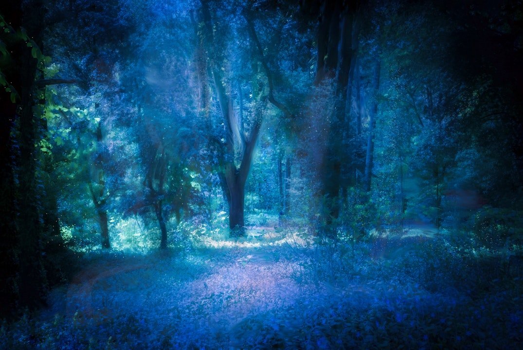 Garden of earthly delights